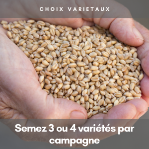 blog cmt choisir ses variétés
