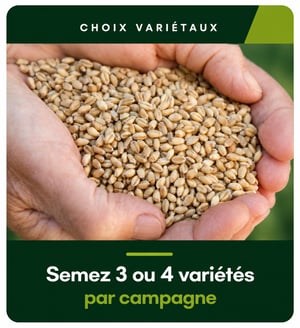 choix variétés
