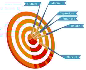 Sécurisation des rendements face aux maladies