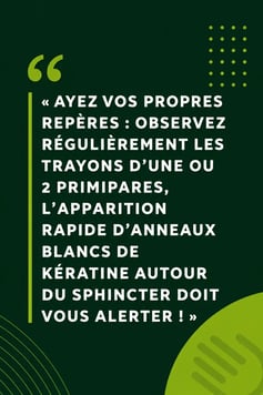 conseils