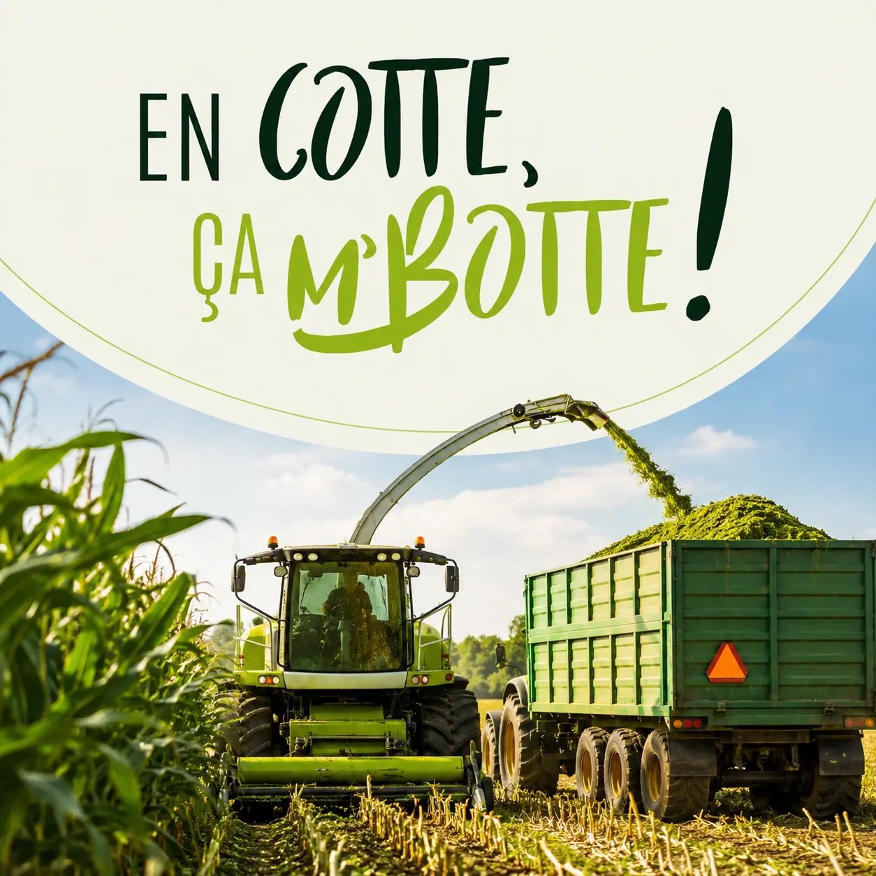 cotte botte