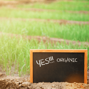 anticiper la période de transition vers agriculture biologique