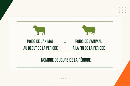jours
