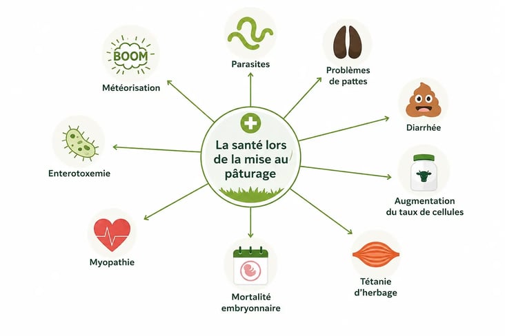 santé