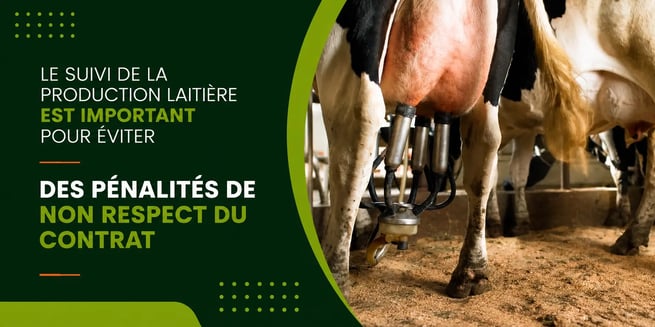 suivi vache