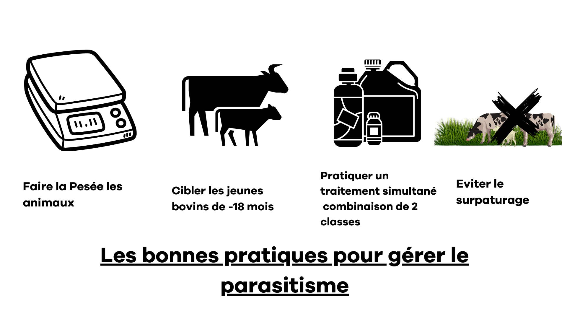 tableau (4) (1)
