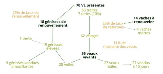 vaches-ensilage-blog