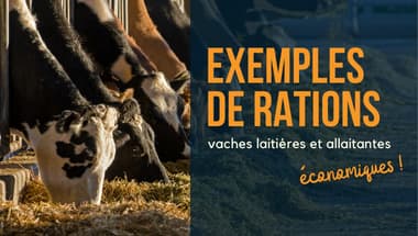 exemple-ration