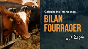 bilan-fourrager