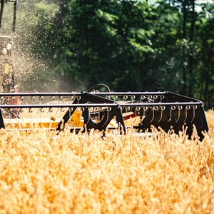 logiciel parcellaire agricole pour grande culture et céréaliers