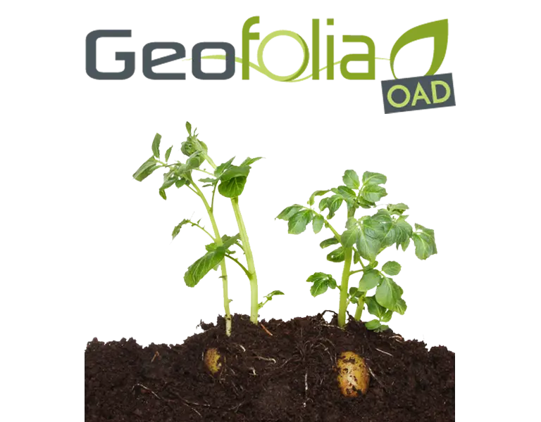 oad mileos geofolia oad
