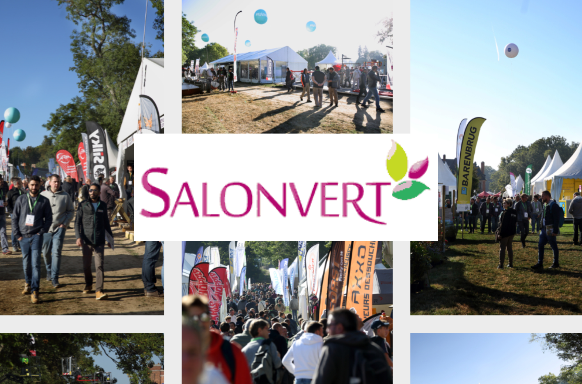 Salonvert 2024
